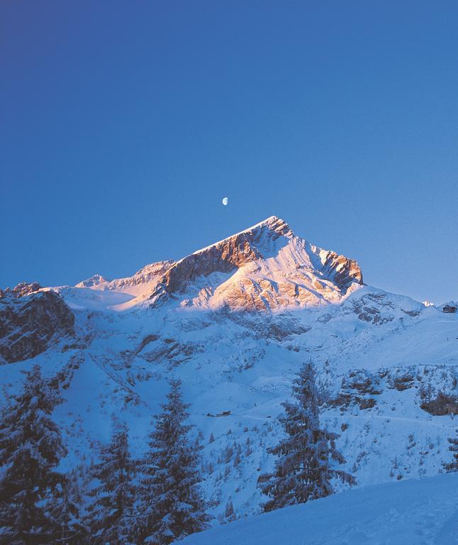 גראינאו Ferienwohnungen Zugspitze מראה חיצוני תמונה